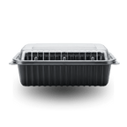 750ml Rectangular PP Container and Clear Lid